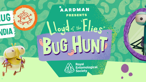 Lloyd of the Flies Bug Hunt Graphic